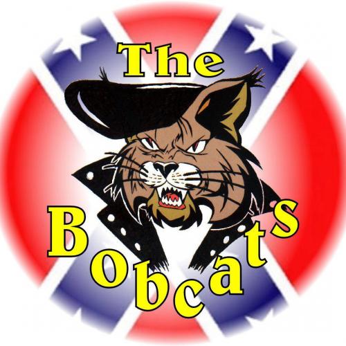The Bobcats