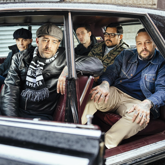 Street Dogs avatar