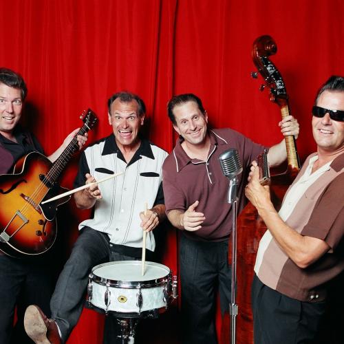 The Amazing Wildcats