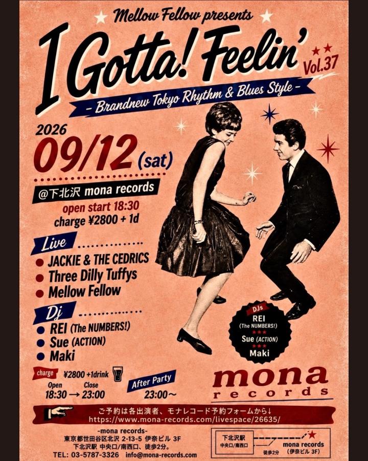 I Gotta! Feelin' vol.37 poster