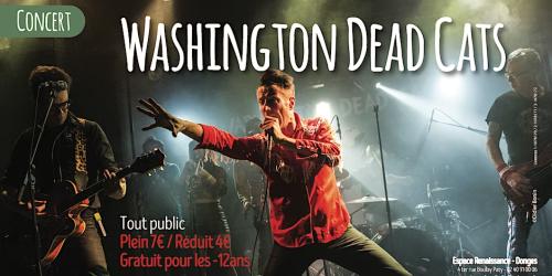 Washington Dead Cats